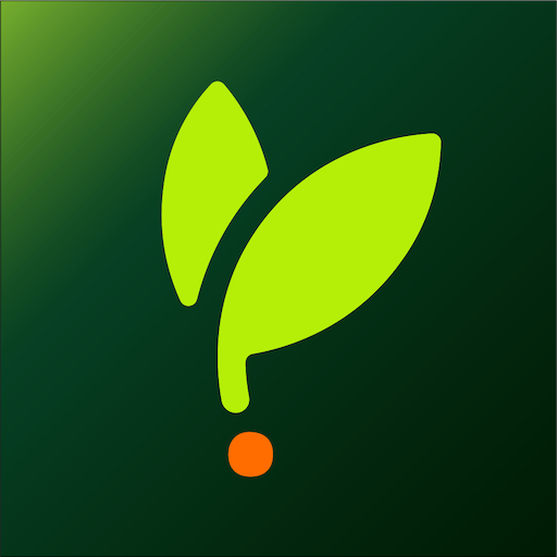 Sprout: Learn English